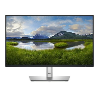 Dell Pro 22 Plus Monitor - P2225H